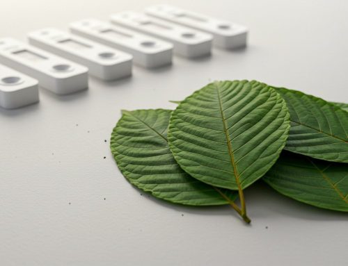 How Long Does Kratom Stay in Your System?